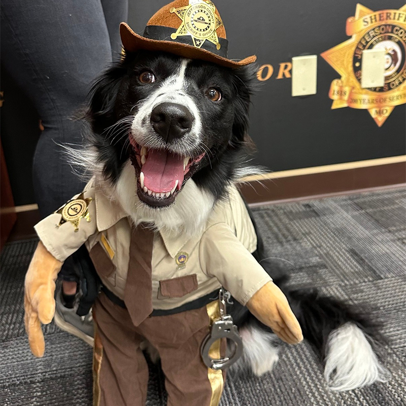 deputy marc gibson with canine kane